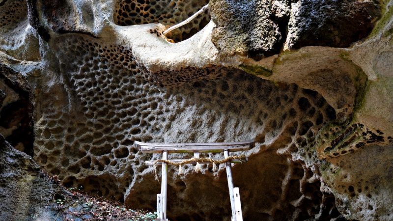 山寺の垂水遺跡ガイド付き秘境ハイキングツアー