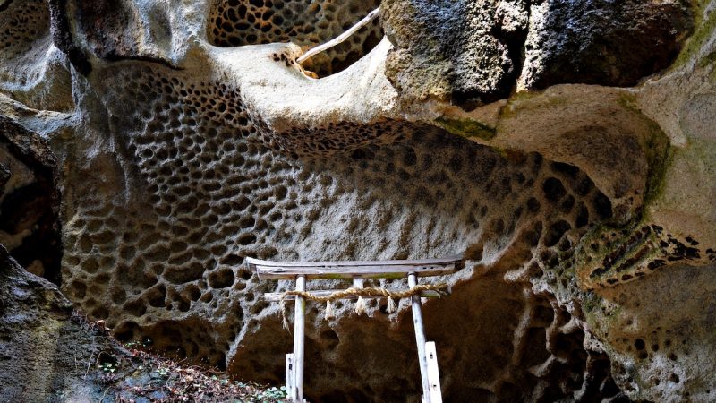 山寺の垂水遺跡ガイド付きハイキングツアー