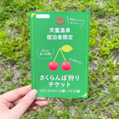 【2023年6/17〜7/2】お土産付き！さくらんぼ狩りチケットの販売〈天童温泉宿泊者限定〉