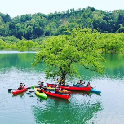 白川湖の水没林