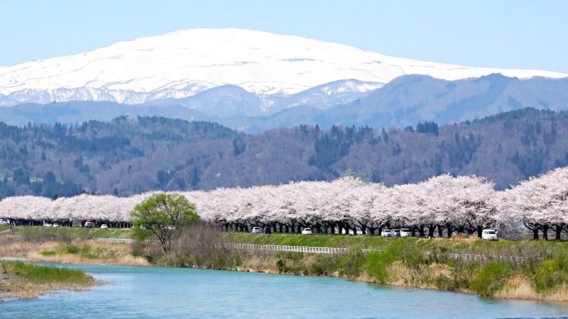天童 E-BIKE TOUR 雪山×桜の絶景サイクリング