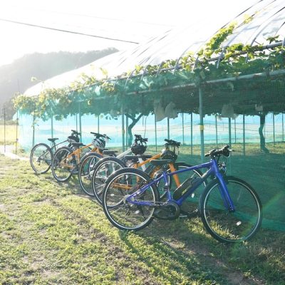 天童を起点に自然・文化・フルーツを満喫するE-BIKE TOURが誕生