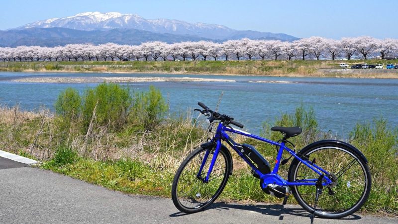 レンタサイクル -電動アシスト付きE-BIKEで天童サイクリング！くだもの狩り、山寺観光にもおすすめ！-