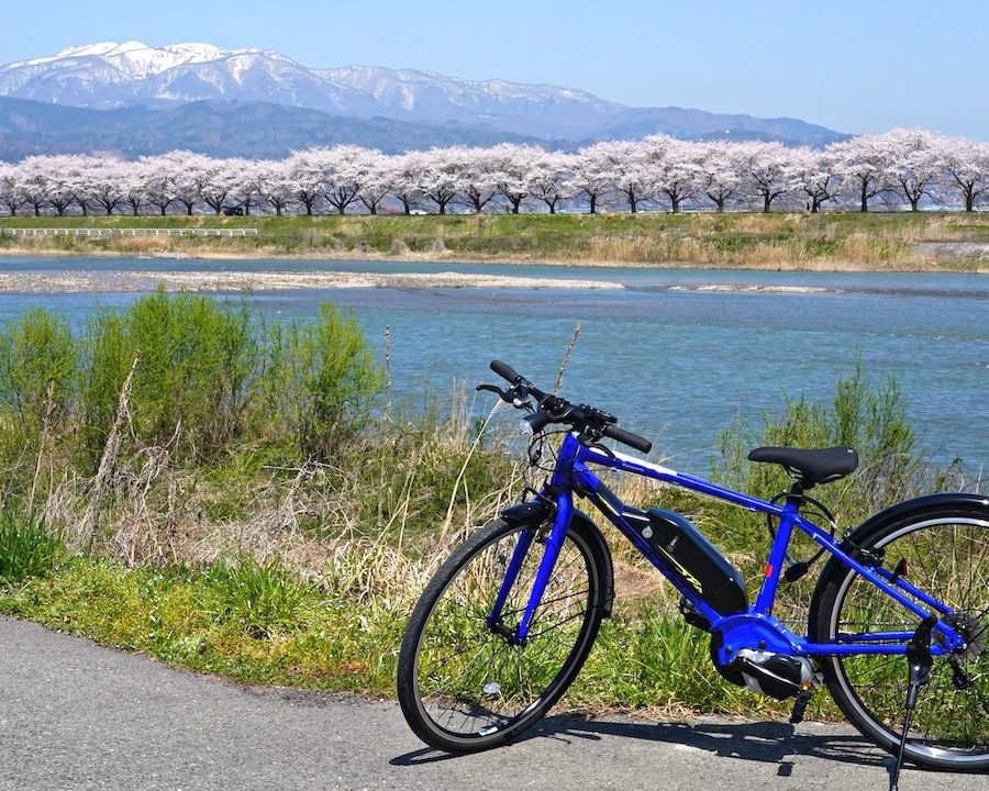 レンタサイクル -電動アシスト付きE-BIKEで天童サイクリング！くだもの狩り、山寺観光にもおすすめ！-