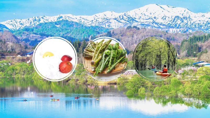 GW3日間限定！雪がくれた春の特別な贈り物「雪りんご・山菜・水没林」をめぐるガストロノミーツアー