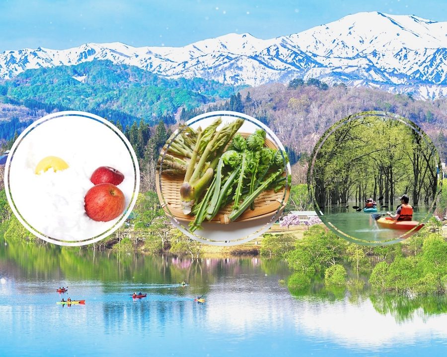 GW3日間限定！雪がくれた春の特別な贈り物「雪りんご・山菜・水没林」をめぐるガストロノミーツアー