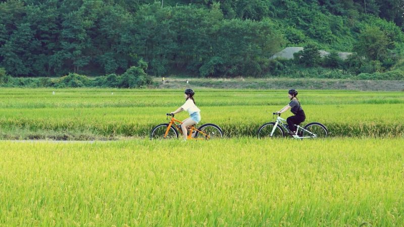 レンタサイクル -電動アシスト付きE-BIKEで天童サイクリング！くだもの狩り、山寺観光にもおすすめ！-