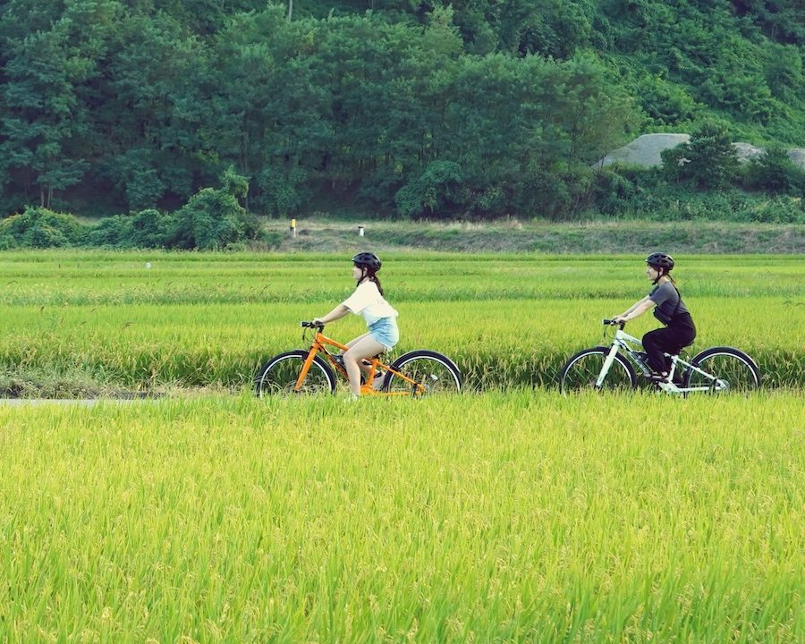 レンタサイクル -電動アシスト付きE-BIKEで天童サイクリング！くだもの狩り、山寺観光にもおすすめ！-