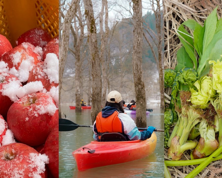 天童温泉から行く、特別な雪の贈り物ツアー -春だけの「雪りんご・山菜・水没林」をめぐる-