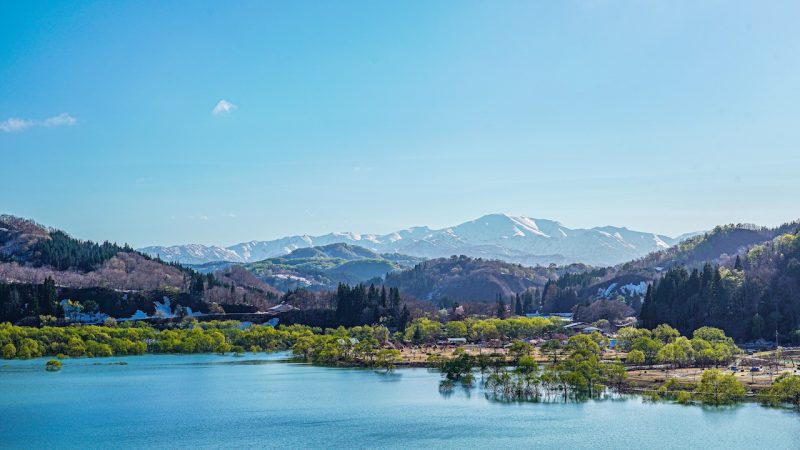 天童温泉から行く、特別な雪の贈り物ツアー -春だけの「雪りんご・山菜・水没林」をめぐる-