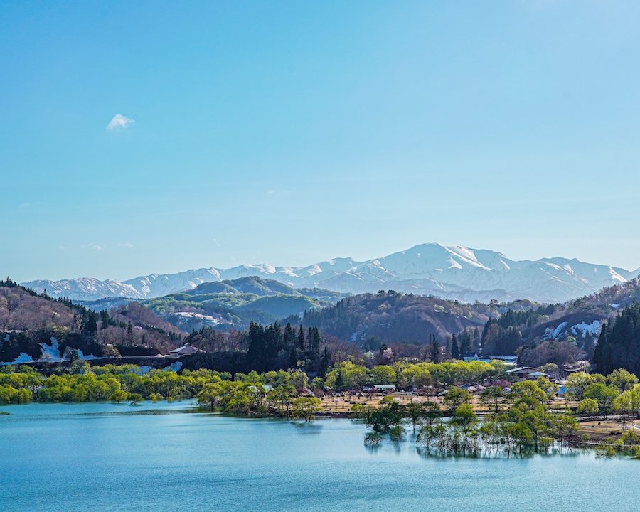天童温泉から行く、特別な雪の贈り物ツアー -春だけの「雪りんご・山菜・水没林」をめぐる-