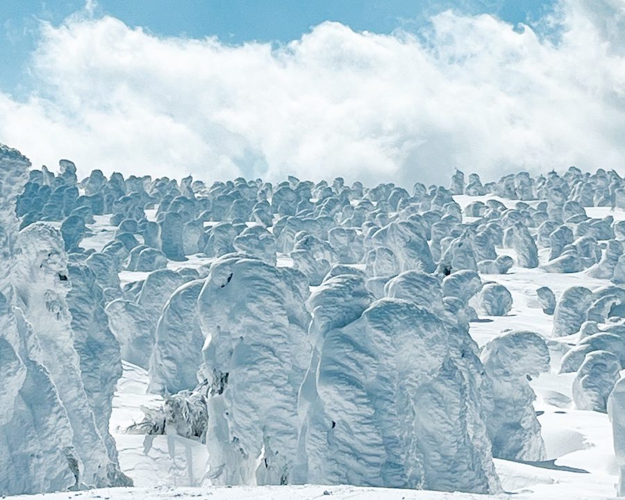 天童温泉から行く、蔵王樹氷原スノーハイキングツアー -雪山初めてでも安心のガイド同行＆装備レンタル付き-