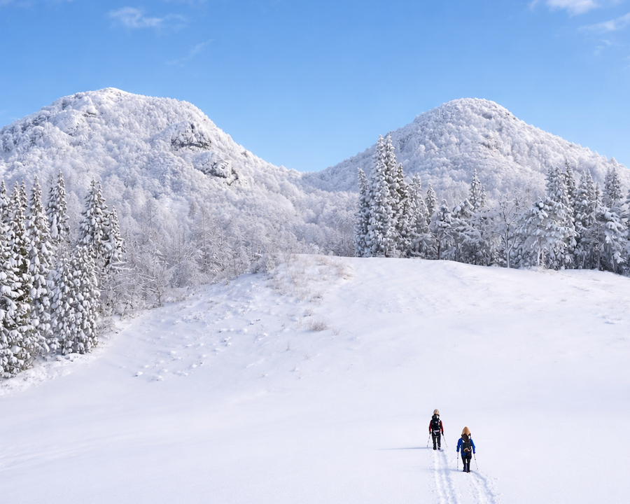 秘境の森スノーシュー＆銀山温泉さんぽツアー -雪山初めてでも安心のガイド同行＆装備レンタル付き-