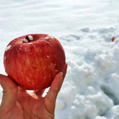 The story of the birth of Yamagata’s rare snow apple that makes you want to shout “yum”!