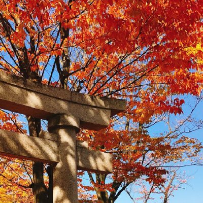 Autumn colours at Onsen Shrine