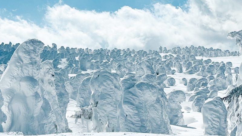 Beginner-Friendly Zao Snow Monster Hiking from Tendo Onsen – Guided & Gear Included –